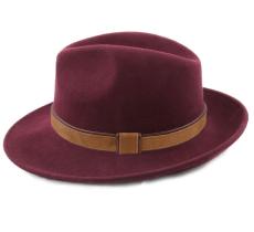 Mon Fedora